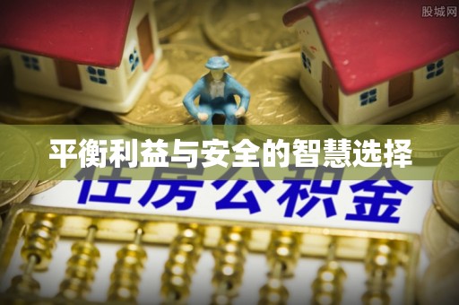 梅里斯平衡利益与安全的智慧选择