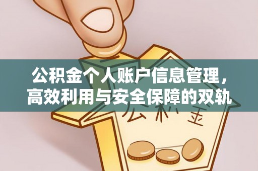 梅里斯公积金个人账户信息管理，高效利用与安全保障的双轨并行