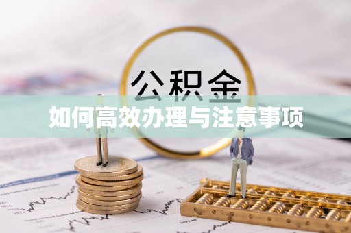梅里斯如何高效办理与注意事项