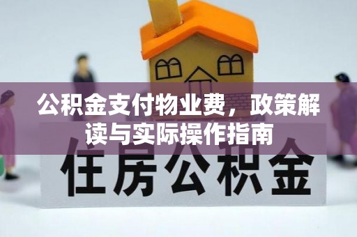 梅里斯公积金支付物业费，政策解读与实际操作指南