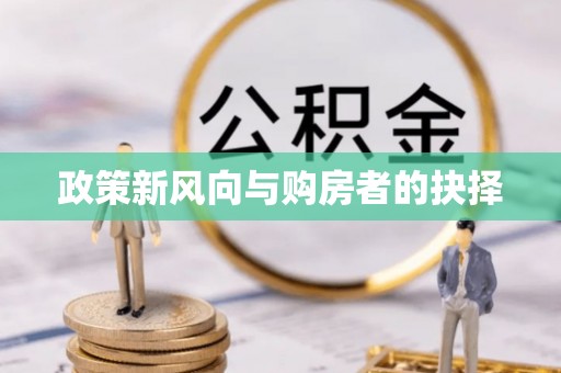 梅里斯政策新风向与购房者的抉择