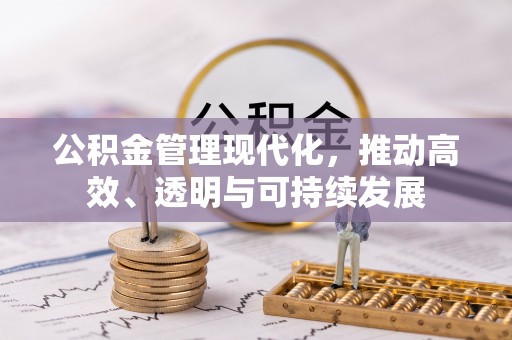 梅里斯公积金管理现代化，推动高效、透明与可持续发展