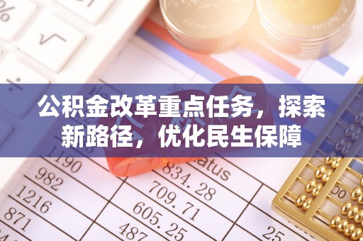 梅里斯公积金改革重点任务，探索新路径，优化民生保障