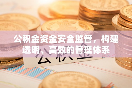 梅里斯公积金资金安全监管，构建透明、高效的管理体系