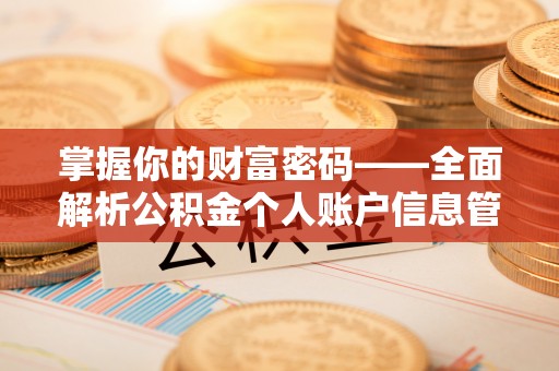 梅里斯掌握你的财富密码——全面解析公积金个人账户信息管理与优化