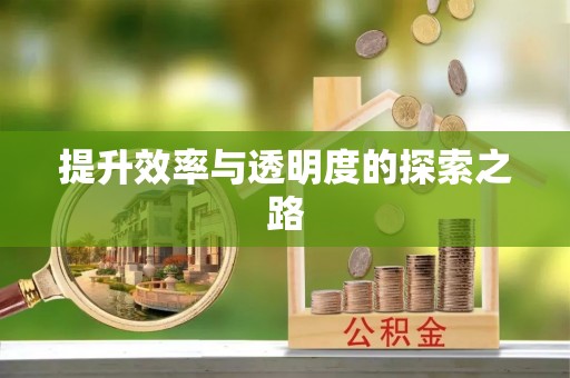 梅里斯提升效率与透明度的探索之路