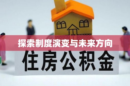 梅里斯探索制度演变与未来方向