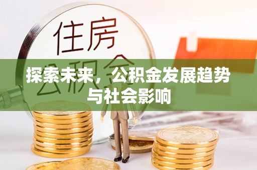 梅里斯探索未来，公积金发展趋势与社会影响