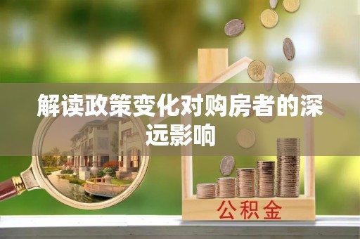 梅里斯解读政策变化对购房者的深远影响