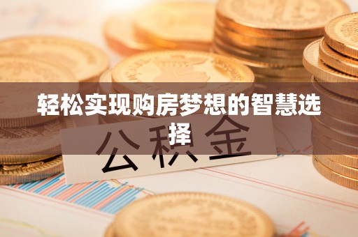 梅里斯轻松实现购房梦想的智慧选择