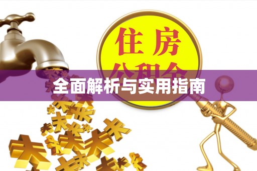 梅里斯全面解析与实用指南
