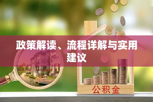梅里斯政策解读、流程详解与实用建议
