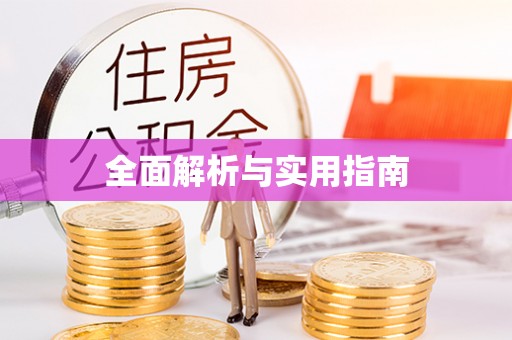 梅里斯全面解析与实用指南