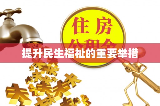 梅里斯提升民生福祉的重要举措