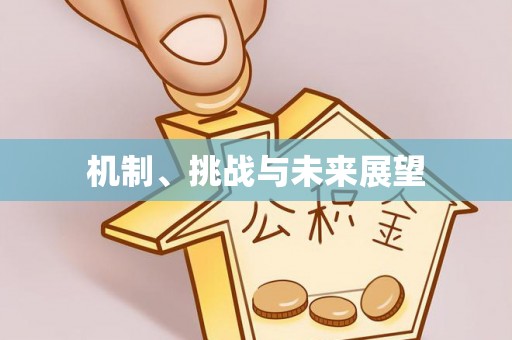 梅里斯机制、挑战与未来展望
